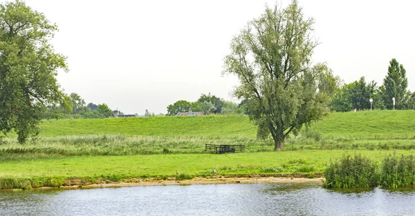 Zona Industriale Sul Fiume Mosa Ore Luglio 2018 Olanda Europa — Foto Stock