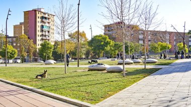 Nou Barris bölgesindeki bahçeler, 13: 10. ; 19 Mayıs 2018; Barselona, Katalunya, İspanya, Avrupa