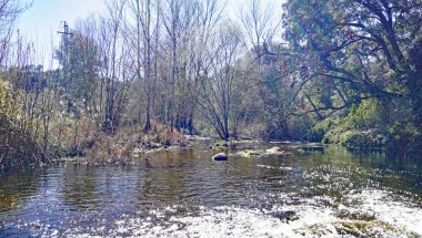 Sant Llorens de Munt i 'Obac Doğal Parkı, Bages, Valls ve Moyans bölgeleri; 19 Temmuz 2017, Barcelona, Katalunya, İspanya, Avrupa