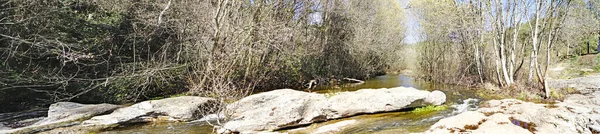 Přírodní Park Sant Llorens Munt Obac Oblasti Bages Valls Occidental — Stock fotografie