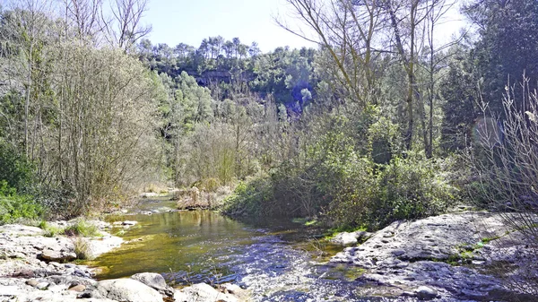 Sant Llorens Munt Obac Natural Park Bages Valls Occidental Moyan — ストック写真