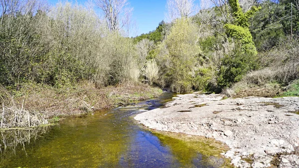 Park Naturalny Sant Llorens Munt Obac Bages Valls Region Zachodni — Zdjęcie stockowe