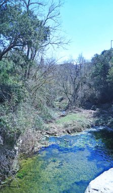 Montseny bölgesindeki Tordera Nehri, öğlen 12: 15. ; 15 Temmuz 2019; Katalonya, İspanya, Avrupa