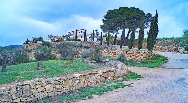 Landscape Peneds Region Barcelona July 2018 Catalunya Spain Europe — Stock Photo, Image