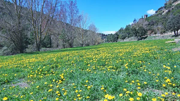 Osona Bölgesinin Manzarası Temmuz 2019 Girona Katalonya Spanya Avrupa — Stok fotoğraf