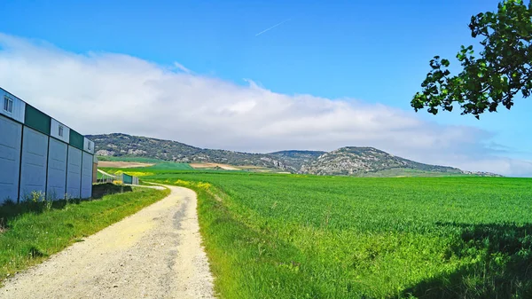 Пейзаж Провинции Бургос Мая 2017 Испания Европа — стоковое фото