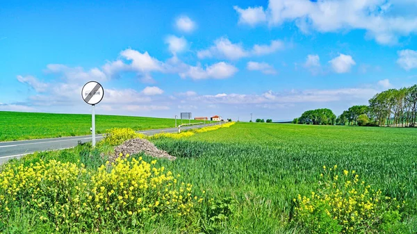 Paesaggio Della Provincia Burgos Maggio 2017 Spagna Europa — Foto Stock