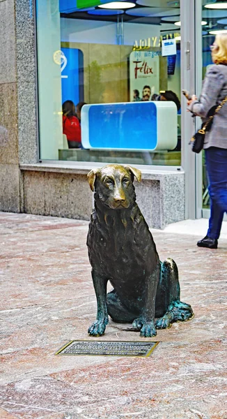 Rufus Hundskulptur Oviedo Maj 2018 Furstendömet Asturien Asturien Spanien Europa — Stockfoto