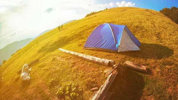 Camping en Cárpatos montañas — Foto de Stock