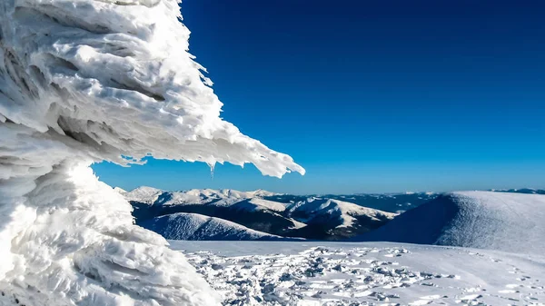 Hielo en la cima de montaña — Foto de Stock