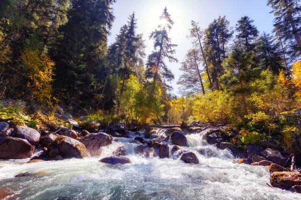 Herfst landschap met bomen en rivier, Kaukasus bergen — Stockfoto