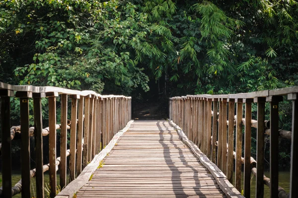 Trä bro gå till naturen. Royaltyfria Stockfoton