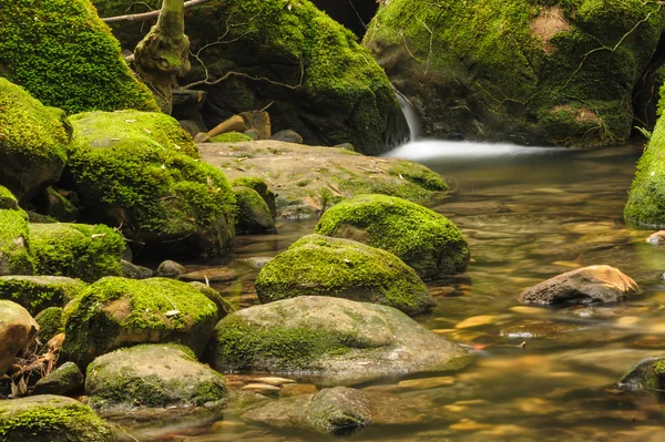 Rocce coperte di muschio vicino alla cascata nella foresta pluviale . — Foto Stock