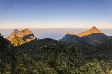 Güzel güneş doğarken Chiang Dao yaban hayatı kutsal, Tayland.