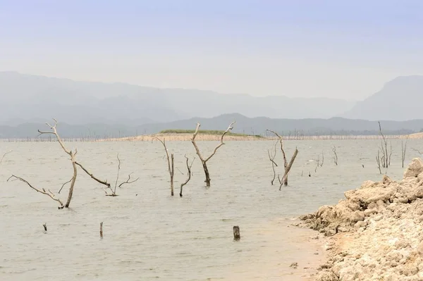 Árvores mortas no lago na barragem . — Fotografia de Stock