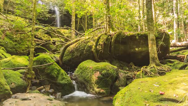 Timelapse : Beautiful waterfall in forest, Thailand., 4K. — Stock Video