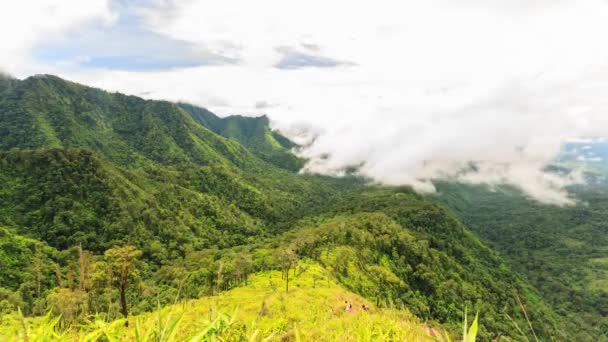 4K Timelapse, cloudscape in rainforest, Thailand . — стоковое видео