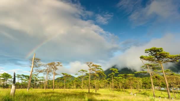 Timelapse, cloudscape e arco-íris após a chuva na floresta tropical, Tailândia . — Vídeo de Stock