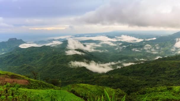Timelapse, paesaggio nuvoloso nella foresta pluviale, Thailandia . — Video Stock