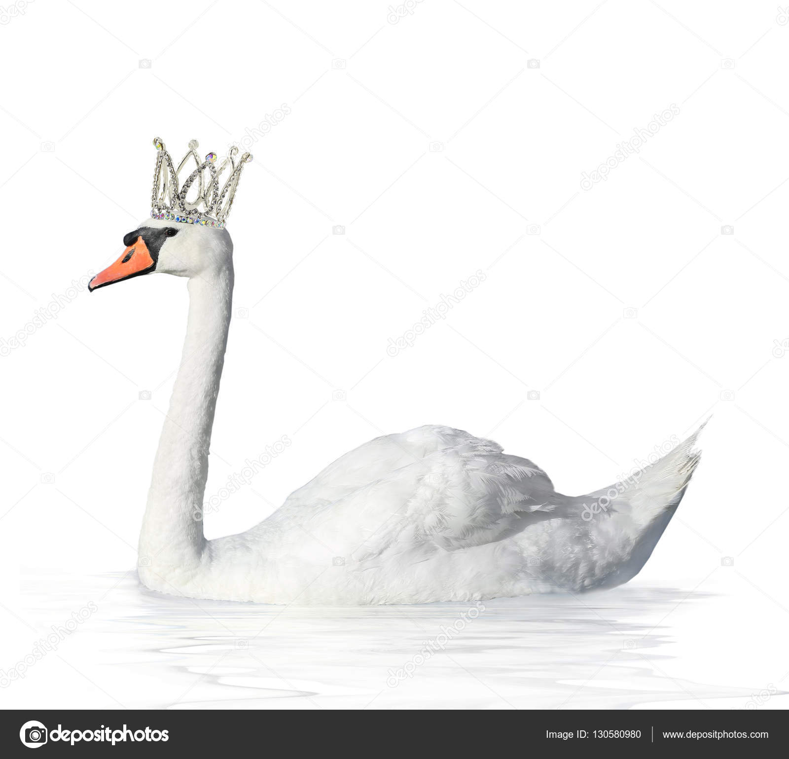 Swan in a crown Stock Photo by ©bazil 130580980
