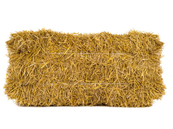 hay isolated on a white