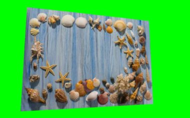 Cockleshell yeşil bir arka plan üzerinde izole 3d