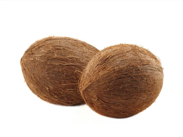 En två kokosnötter — Stockfoto