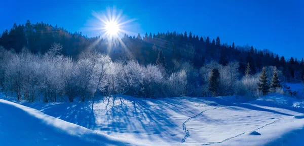 De Oekraïne Karpaten — Stockfoto