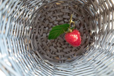 sepet içinde ahududu