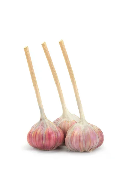 A garlic isolated — Stock Photo, Image