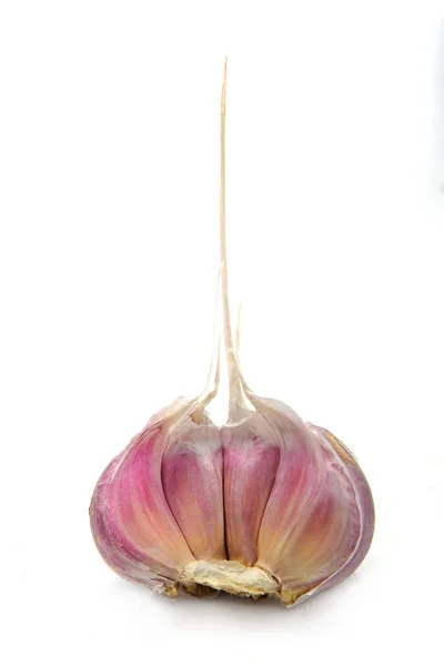 A garlic isolated — Stock Photo, Image