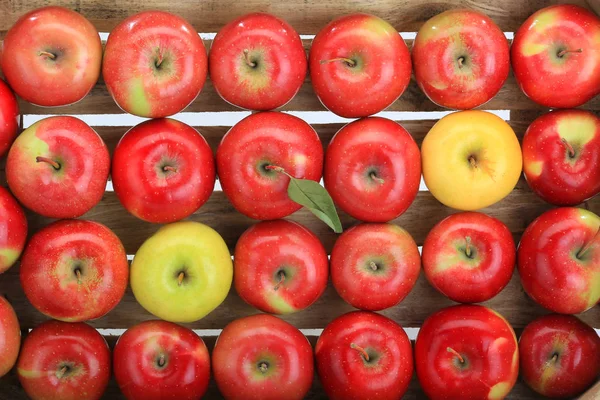 Apple red, yellow — Stock Photo, Image
