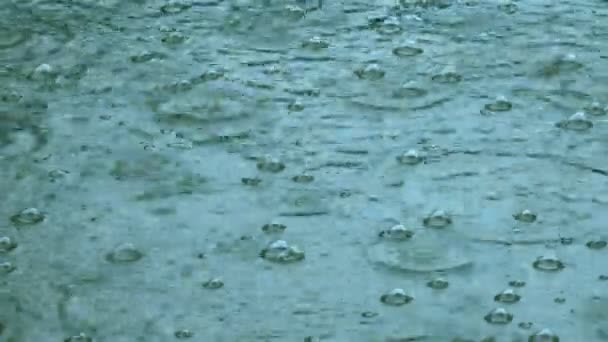 Une goutte de pluie — Video