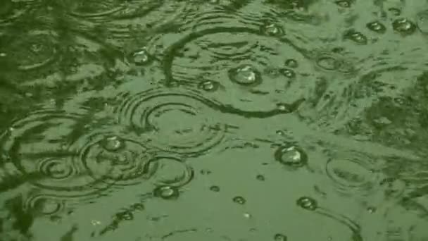 Gotas de lluvia en la acción ralentizada. lentitud — Vídeo de stock