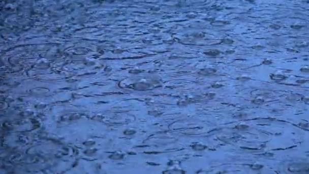 Rain drops in the slowed-down action. slowmotion — Stock Video