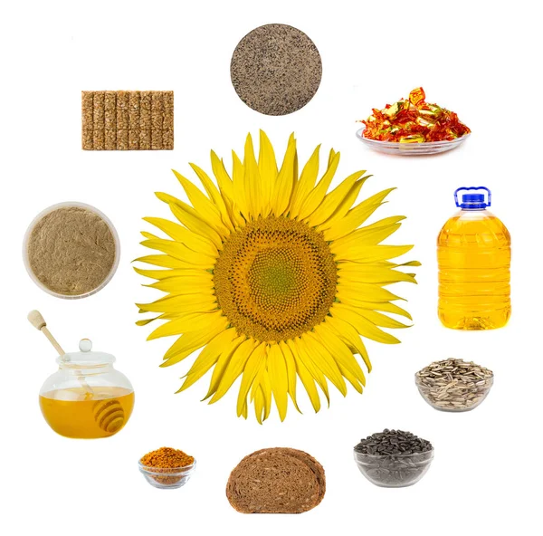 Processing of a sunflower — Stock Photo, Image