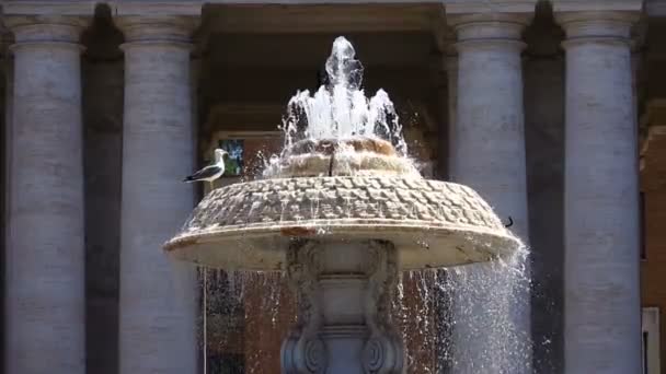 Fontän nära St Peter's Basilica Vatikanstaten, . — Stockvideo