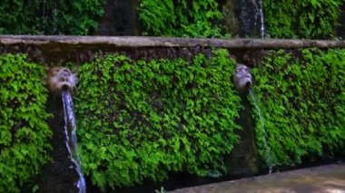 Villa d Este Tivoli, İtalya için yüz çeşmeler