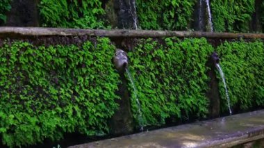 Villa d Este Tivoli, İtalya için yüz çeşmeler