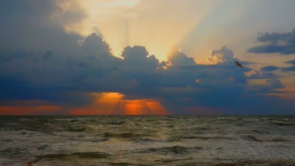 Nascer do sol no mar — Vídeo de Stock