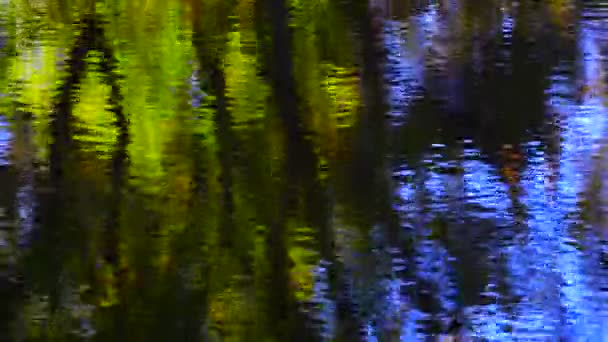 Weerspiegeling van de herfst hout en water — Stockvideo