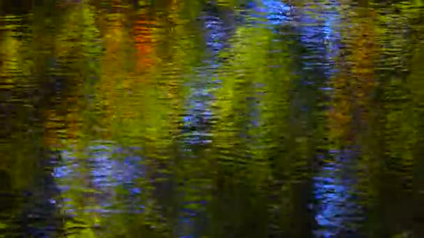 Reflection of the autumn wood and water — Stock Video