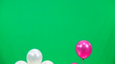 ağır çekim beyaz ve pembe balonlar yeşil ekranda sinek