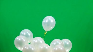 ağır çekim beyaz balon yeşil ekranda sinek
