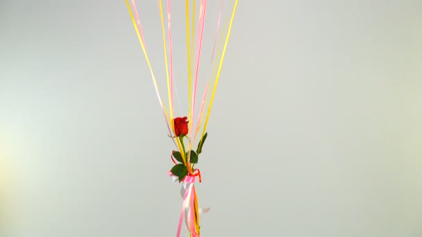 气球与玫瑰一起飞翔 — 图库视频影像