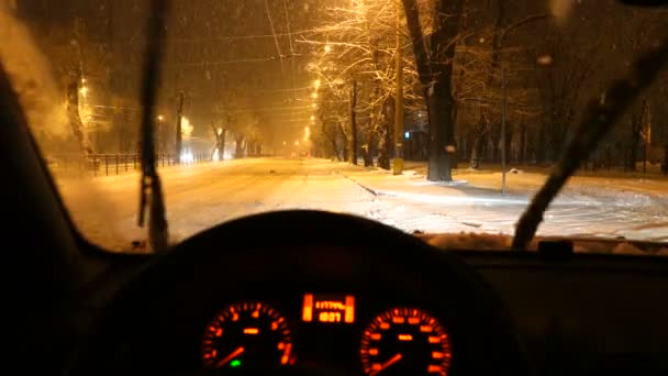 行く雪に道路上の車 — ストック動画