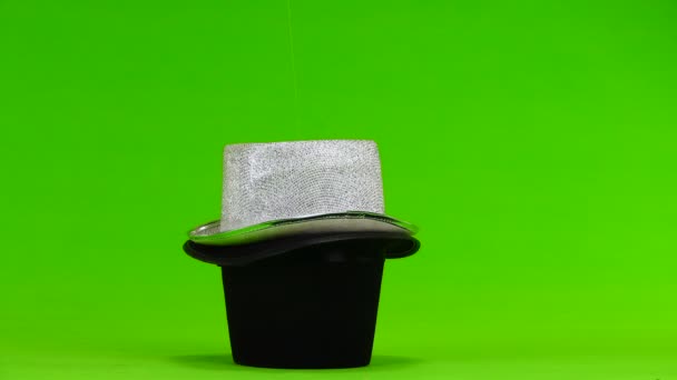 Δύο Κουνέλι Ισχίου Καπέλα Μια Πράσινη Οθόνη — Αρχείο Βίντεο
