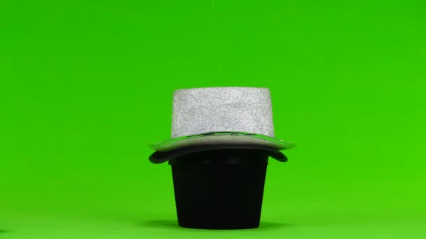 Iki Tavşan Hip Şapka Yeşil Bir Ekran Üzerinde — Stok video