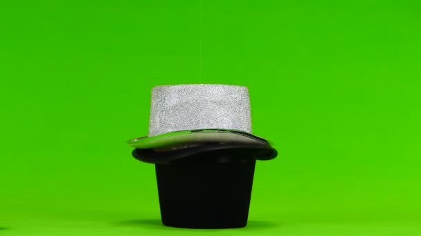 Dois Chapéus Quadril Coelho Uma Tela Verde — Vídeo de Stock
