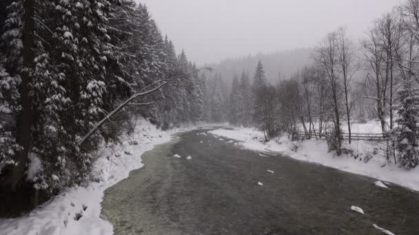 Ορεινό Ποτάμι Που Τρέχει Την Άνοιξη Πάγο Ήχος — Αρχείο Βίντεο